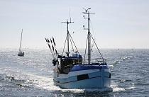 DK-fiskerikontrol